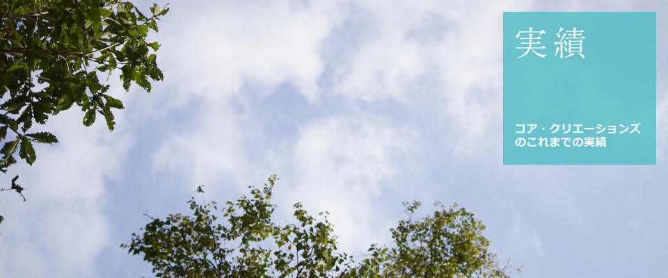 実績 実績
