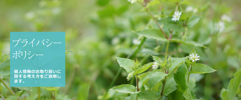 プライバシーポリシー プライバシーポリシー
