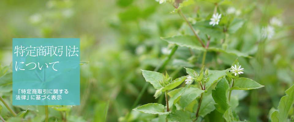 商取引法について